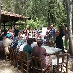 Pensiune agroturistice Pastoral Vadi Yanıklar