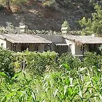 Pastoral Vadi * Yanıklar