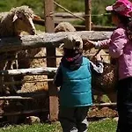Pastoral Vadi Yanıklar