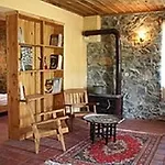 Pastoral Vadi *