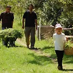 Pastoral Vadi Pensiune agroturistice