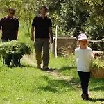 Pastoral Vadi Pensiune agroturistice