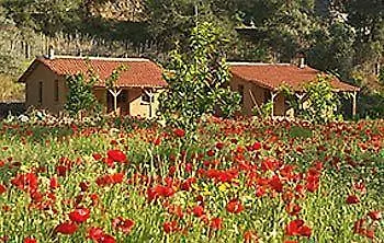 팜스테이 Pastoral Vadi Yanıklar