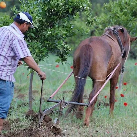 Alloggio per agriturismo Pastoral Vadi