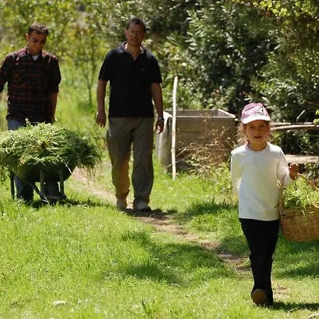 Pastoral Vadi Alloggio per agriturismo