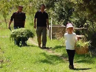 Pastoral Vadi Alloggio per agriturismo