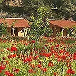 Vakantieboerderij Pastoral Vadi Yanıklar