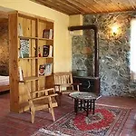 Pastoral Vadi *