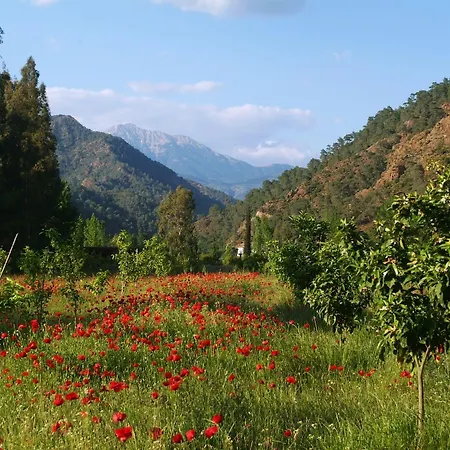 农家乐 Pastoral Vadi *