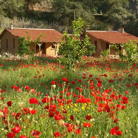 Pastoral Vadi * Yanıklar