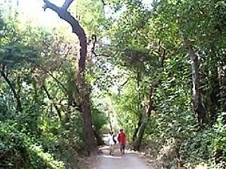 Pastoral Vadi