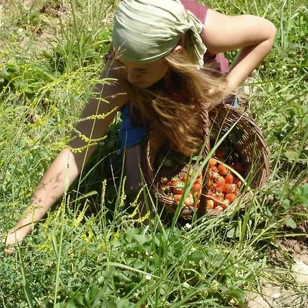 Pastoral Vadi * Yaniklar (Mugla)