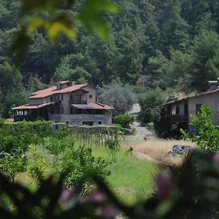Pastoral Vadi Farm stay Yaniklar (Mugla)