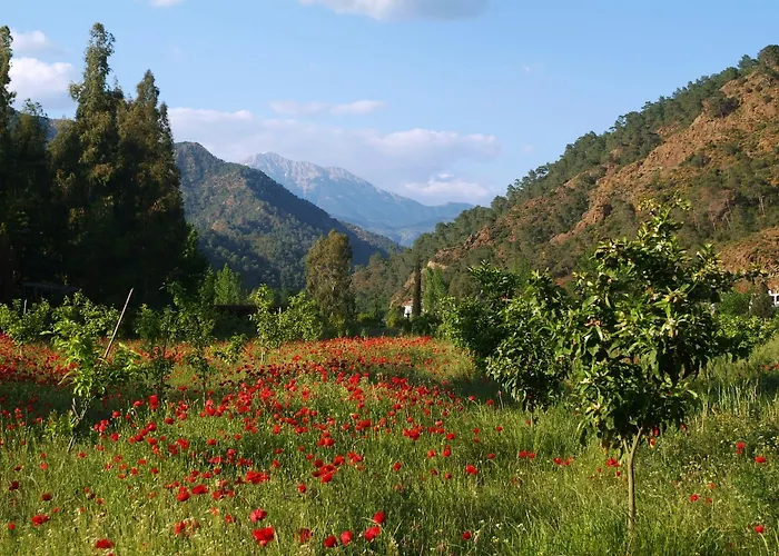 农家乐 Pastoral Vadi *