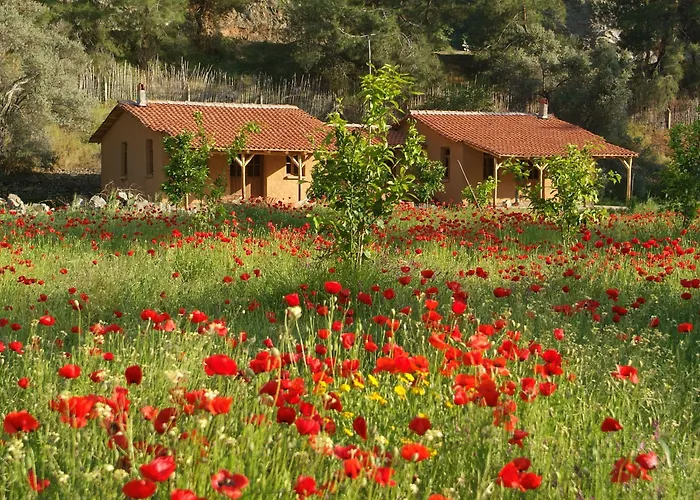Pastoral Vadi * Yanıklar