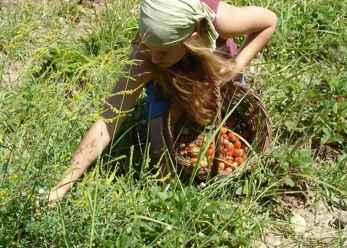 Pastoral Vadi * Yanıklar