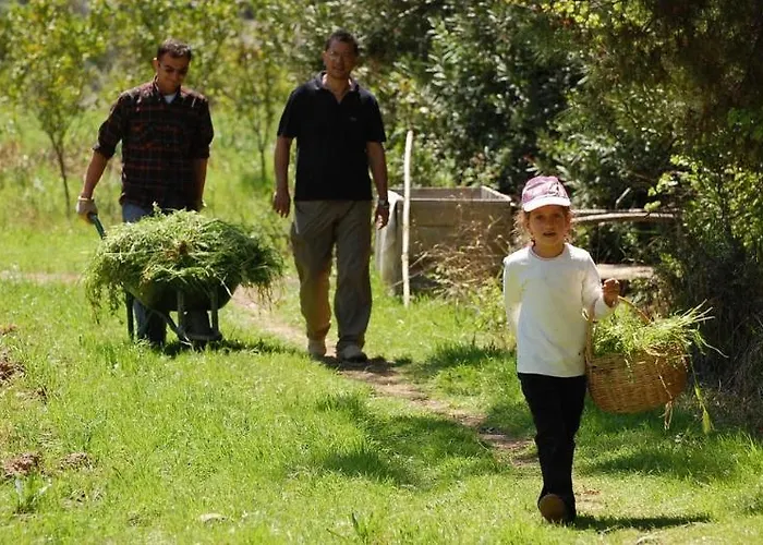 Pastoral Vadi 农家乐