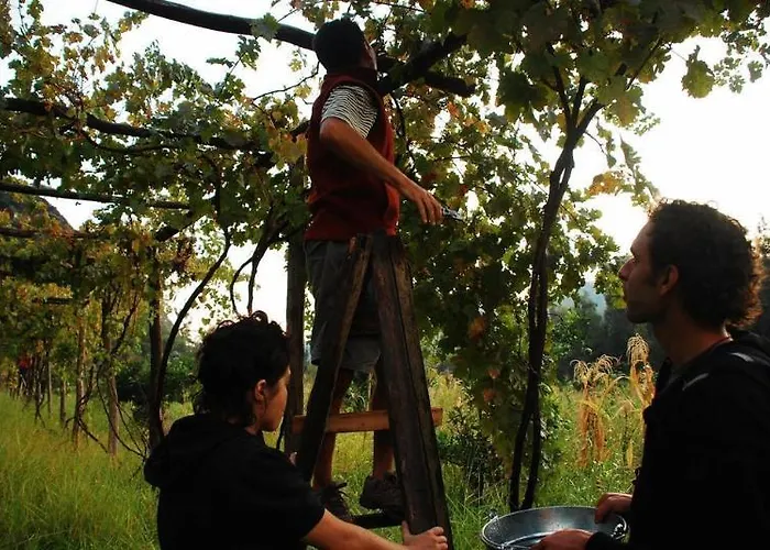 Pastoral Vadi 农家乐 *