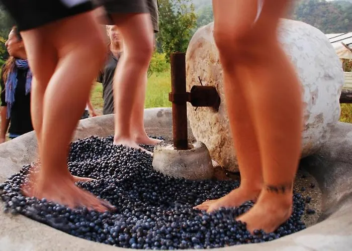 农家乐 Pastoral Vadi Yanıklar