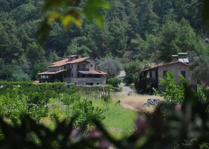 Pastoral Vadi 农家乐 Yanıklar